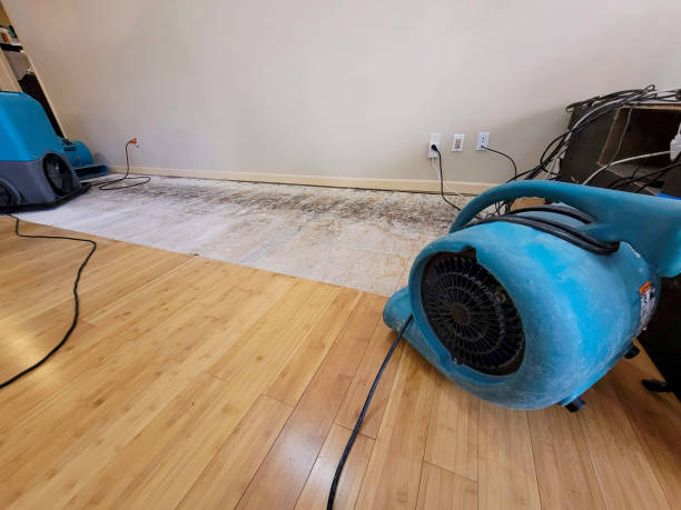 Professional Water Removal technician working in Chapmanville, WV